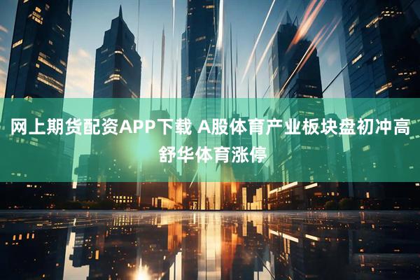 网上期货配资APP下载 A股体育产业板块盘初冲高 舒华体育涨停